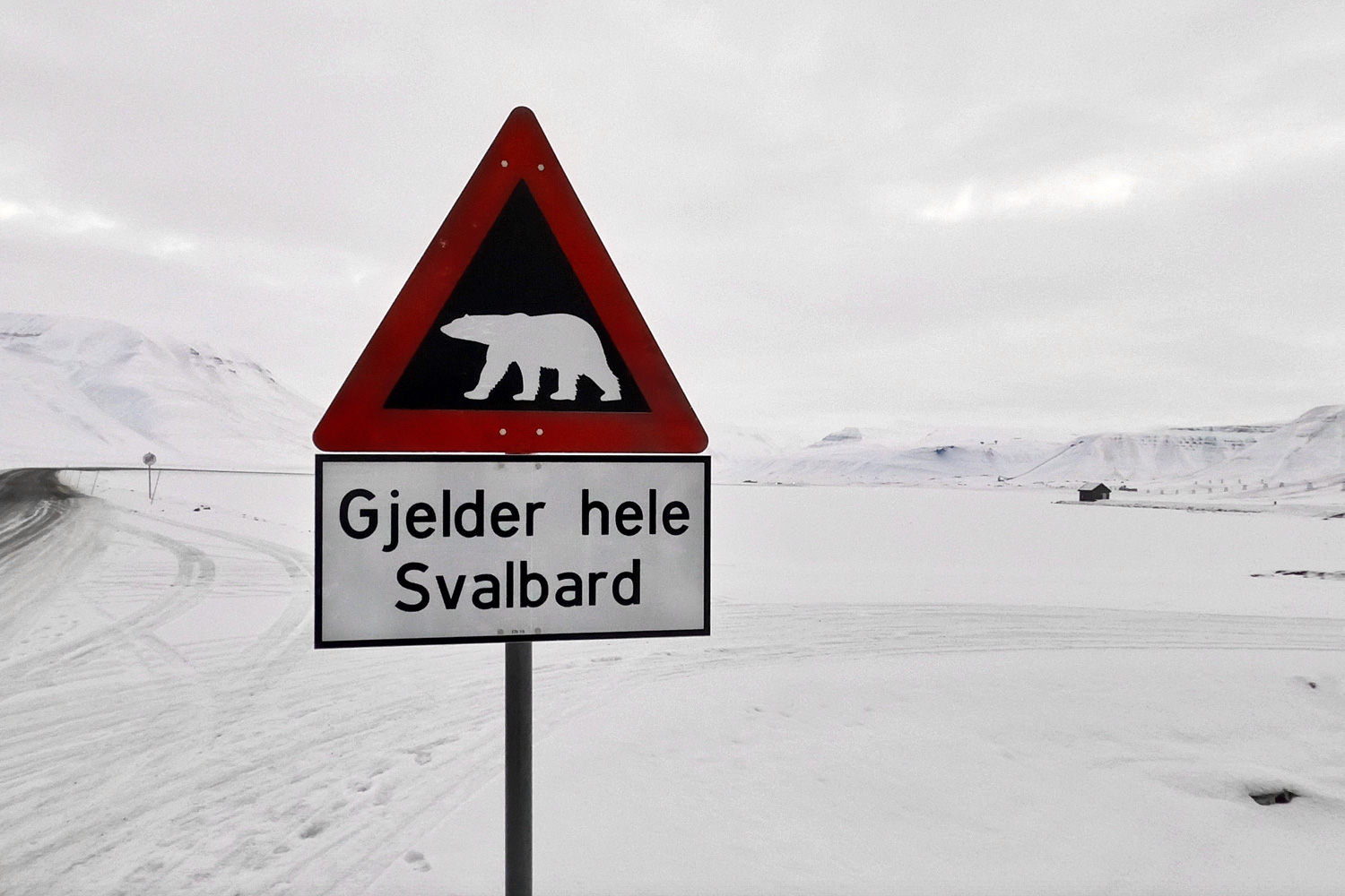 Arctic cuisine, Svalbard, Nick Casini - Photo of a road sign with a picture of a polar bear on.