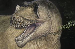colossal-new-dinosaur-identified-from-photos-of-fossils-destroyed-in-wwii